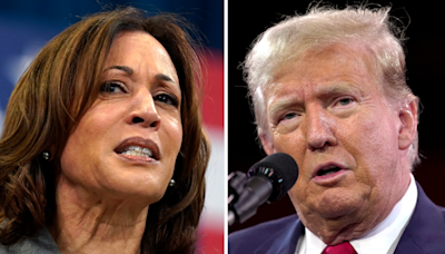 Harris, Trump neck and neck in swing states: Poll