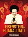 Que viva Eisenstein!