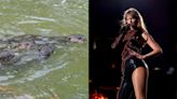 From otter splashes to relationship ashes: Here's a Taylor Swift song for some of Singapore's biggest recent events