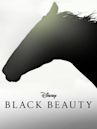 Black Beauty (2020 film)