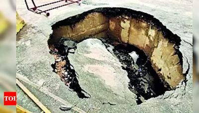 Crocodiles found in cave-in on Nizampura road | Vadodara News - Times of India
