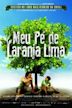 Meu Pé de Laranja Lima