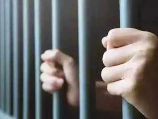 Punjab man gets 70-year jail for murder of wife & 2 relatives | Chandigarh News - Times of India