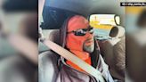 Man caught with fake passenger in carpool lane