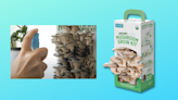 Give Dad this $15 kit that lets him grow his own gourmet mushrooms in just 10 days