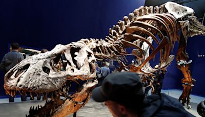 Otro error de Jurasic Park: El Tiranosaurio rex no era tan listo como creíamos