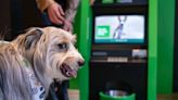 At this South Philly bank, the newest ATM has gone to the dogs. And they love it.