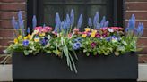 How to Make Window Boxes Look Good in Winter – Inspirational Ideas For an Easy Front Yard Facelift