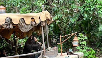 Is Disney World’s Jungle Cruise closing? Here’s what to know before your next trip to Magic Kingdom