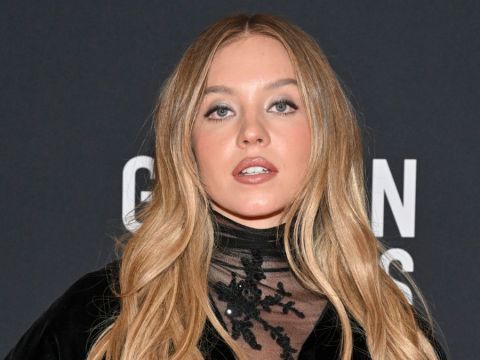 Sydney Sweeney’s Low-Cut Velvet Dress Demands a Double Take