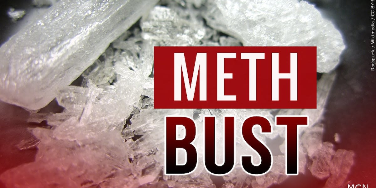 1 arrested in meth seizure on Simmons Street in Alexandria