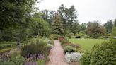 Yes, you can have a tidy native-plant garden. Here are some tips - WTOP News