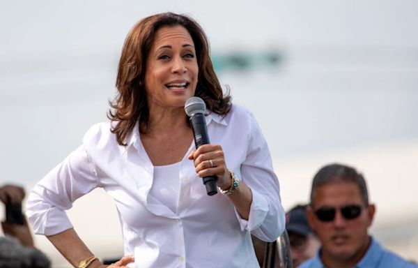 From Attorney General To VP To Potential President. What Is Vice President Kamala Harris' Net Worth?