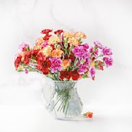 Thoughtfully curated arrangements featuring flowers that are in season. These arrangements capture the essence of the current season, whether its the vibrant blooms of summer, the warm tones of autumn, or the festive spirit of the holidays.