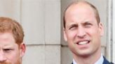 Prince William’s New Military Role Sparks Controversy - E! Online