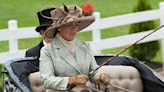 Wade House to host personalized carriage riding lessons with professional trainer