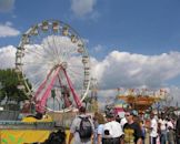 Florida Strawberry Festival