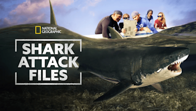 Shark Attack Files Season 1 Streaming: Watch & Stream Online via Disney Plus