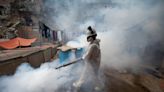 Peru declares health emergency as dengue cases soar