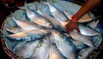 West Bengal receives season’s first Hilsa shipment from Bangladesh