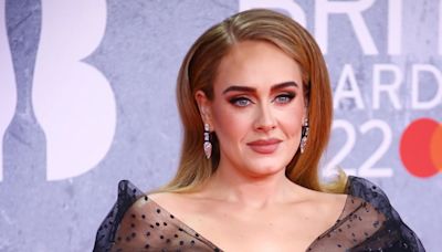 Adele pauses concert to watch the Olympics