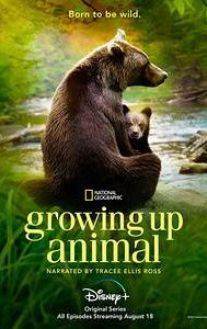 Growing Up Animal