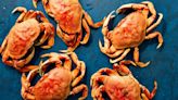 The Complete Guide to Dungeness Crab