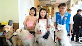 竹縣寵物友善空間頒首張標章 鼓勵餐飲及旅宿業者加入行列 | 蕃新聞