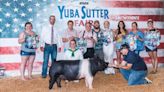 Yuba-Sutter Fair returns for 2024: Here's what to know