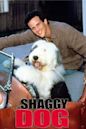 The Shaggy Dog (1994 film)