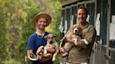 Man who spends £20k a month on stray dogs shares story with Ben Fogle