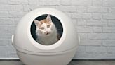 Make caring for your cat easy with the best self-cleaning litter boxes