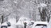 Snow, frigid temperatures expected in Nova Scotia this weekend