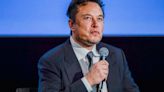 Fellow billionaires 'visibly winced' as Elon Musk went on conspiracy theory rant: report