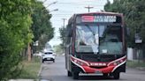 Robó y huyó: un punga suelto en el colectivo