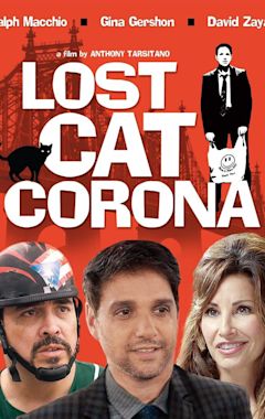 Lost Cat Corona