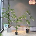 仿真樹 假樹 仿真植物 假植物高端仿真綠植物水石榕酒店名宿大客廳店鋪茶室櫥窗落地花藝裝飾樹