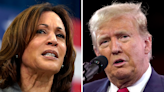 Where Harris stands against Trump in the battleground states that will decide the election