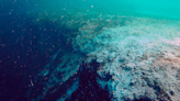 The Deepest Blue Hole On The Planet Plummets 420 Meters Below The Sea