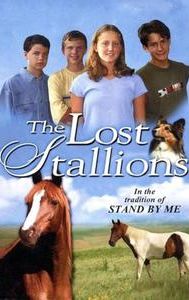 The Lost Stallions