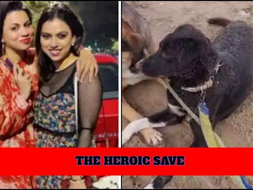 Preeti and Neeti Simoes Rescue A Dog In Heroic Style: Unbelievable Story