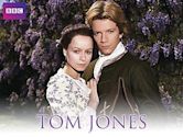 The History of Tom Jones: a Foundling (TV series)
