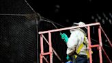 Bee swarm halts Diamondbacks-Dodgers for nearly two hours before Arizona wins in walkoff - The Boston Globe