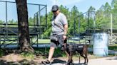 Service dogs help veterans cope with PTSD