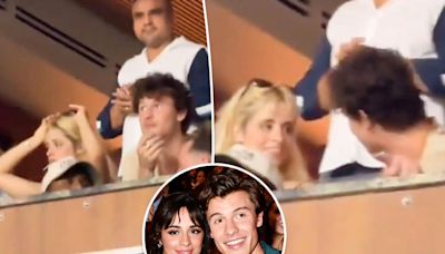 Camila Cabello and Shawn Mendes spark reconciliation rumors at Copa América final