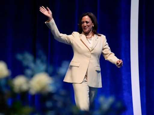 Harris rallies support during first fundraiser: ‘We are the underdogs’