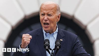 Democrats weigh risks and rewards of losing Biden