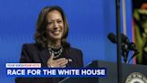 What 8 potential Kamala Harris VP picks bring to the table