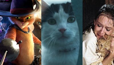 Día del gato: los 10 felinos más icónicos de la pantalla (y dónde verlos) - La Tercera