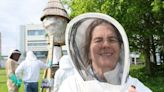 Researchers call on citizen scientists to support ‘Plan Bee’ - Homepage - Western People